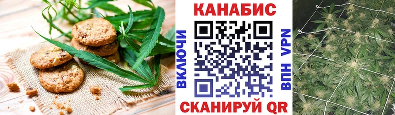 МЕГА ссылка  дарнет шоп  Холмск  Canna-Cookies марихуана 