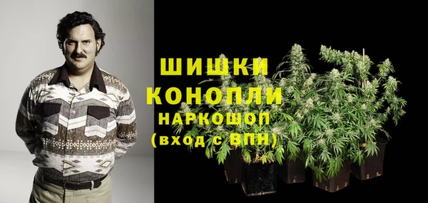трава Беломорск