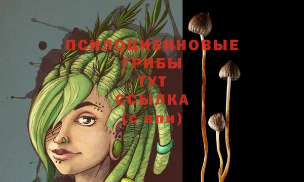 кокс Белоозёрский