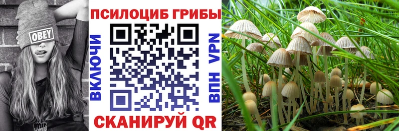 магазин продажи наркотиков  Холмск  мега ONION  Галлюциногенные грибы прущие грибы 